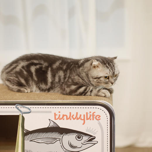 Tinklylife 鱼罐头 猫窝猫抓板 商品图3