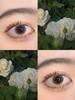 Decorative Eyes 黛珞芙 「奇妙物语」鹦鹉绿 日抛 14.1 10片 含硅水凝胶日抛无售后 商品缩略图14