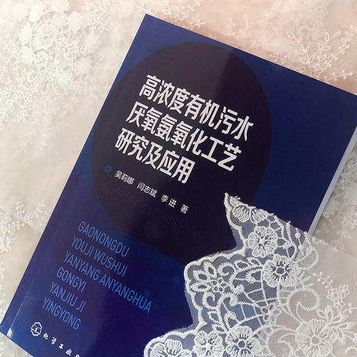 高浓度有机污水厌氧氨氧化工艺研究及应用 污水处理技术书籍 厌氧氨氧化工艺在高浓度有机污水中的应用 厌氧氨氧化工艺运行调控 商品图3