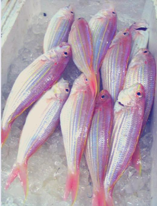 冰鲜红杉鱼 /斤 商品图2