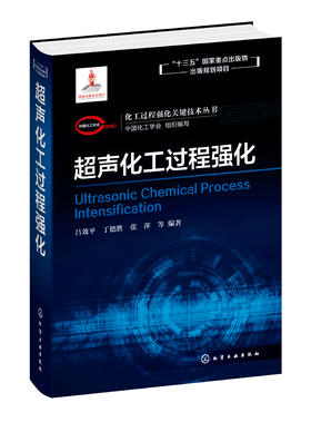 化工过程强化关键技术丛书  超声化工过程强化