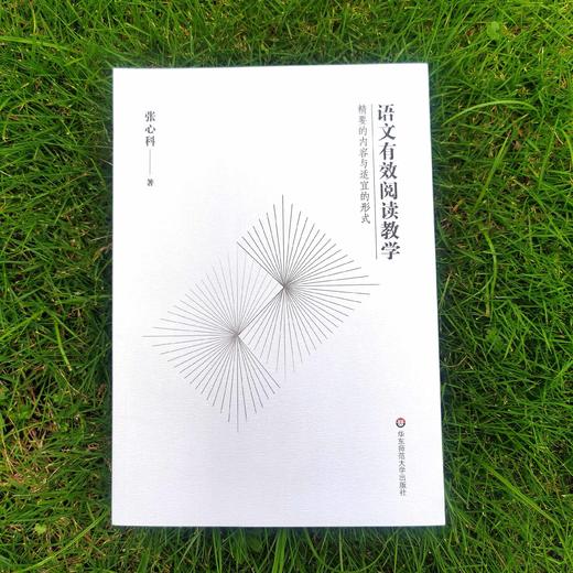 语文有效阅读教学 精要的内容与适宜的形式 张心科 语文教师教育 语文阅读教学设计教材 正版 慕课教材 商品图0