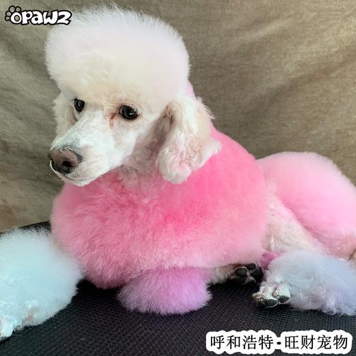 宠物染色香波-红色 500ml OPAWZ小爪印 商品图10