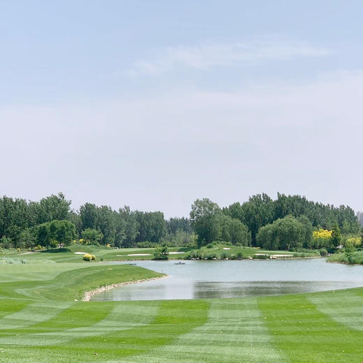 河北廊坊凤河国际高尔夫俱乐部  Hebei Langfang Fenghe Intel. Golf Club |  廊坊高尔夫球场 俱乐部 | 河北 | 中国 商品图1