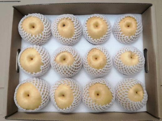 合作产品/ 有机黄金梨（基地直发）全国包邮，偏远地区除外 商品图6