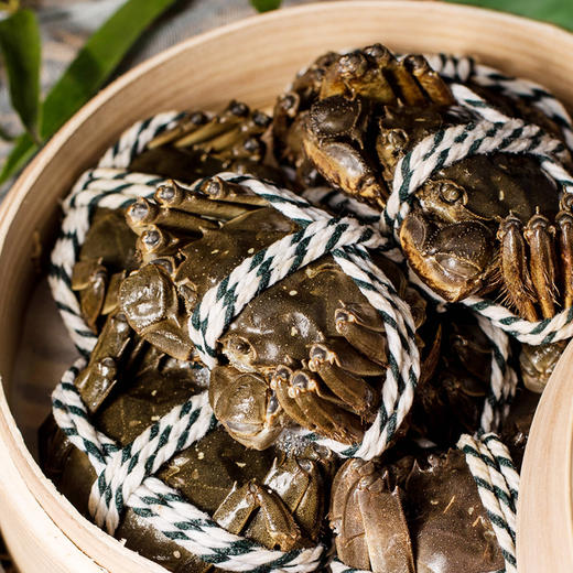 【爆款蟹卡礼券】澄方圆阳澄湖大闸蟹-1 ，蟹卡现售，下单后先寄蟹卡，实物蟹开捕后发（9.23号后） 商品图2