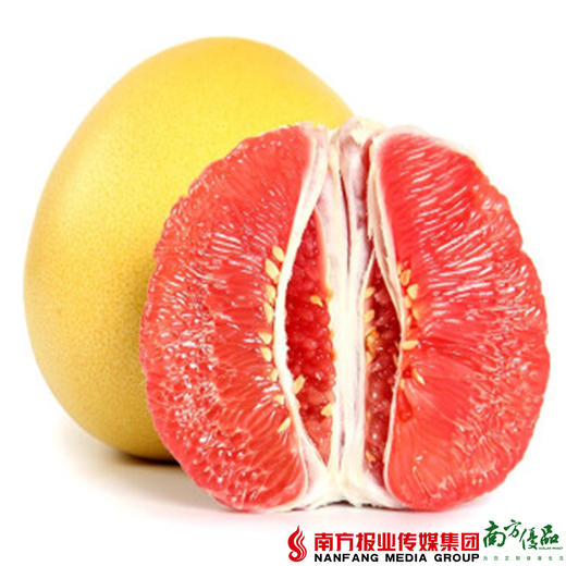 【珠三角包邮】梅州三红蜜柚礼盒2个装  1.8-2.5斤/个（次日到货） 商品图1