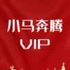 小马奔腾VIP会员，跟小马老师一起踏浪而行 商品缩略图0