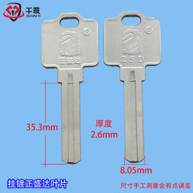 挂镀正盛达叶片