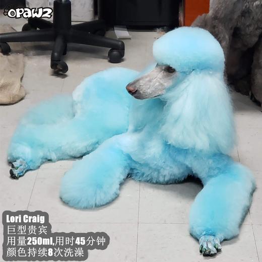 宠物染色香波-蓝色 500ml OPAWZ小爪印 商品图9