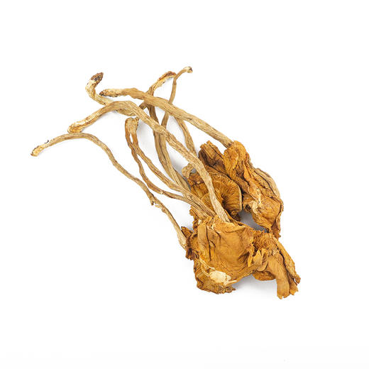 宜昌 五峰万绿蓝高山茶树菇250g/袋 商品图3