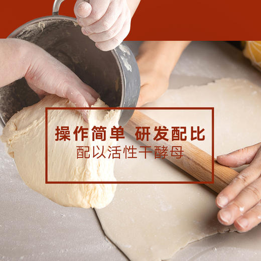 新良自发粉1.25kg中筋面粉家用包子饺子馒头免发酵自发面粉小麦粉 商品图3