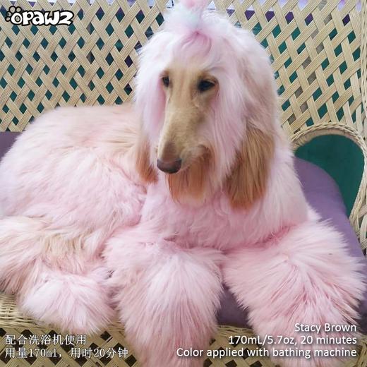 宠物染色香波-粉色 500ml OPAWZ小爪印 商品图9