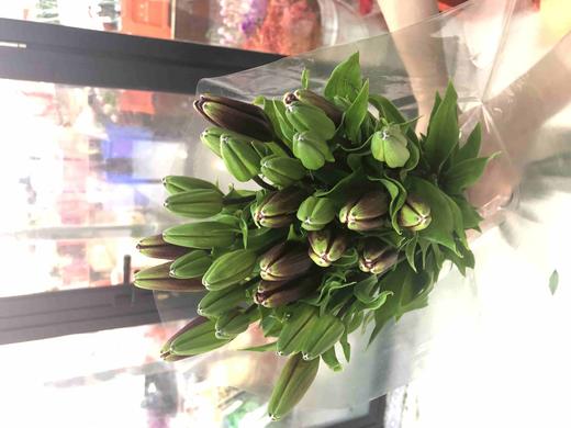 百合-黑宝石-三头-10枝/扎 商品图1