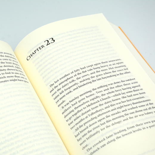 德伯家的苔丝 商品图9