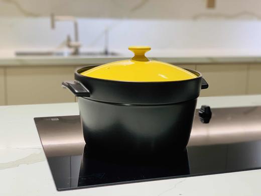 【618专享优惠】陆宝陶锅4.5升，天猫价格899元，蜗品优惠价仅699元， 商品图0