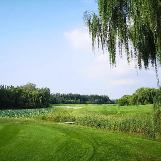 河北廊坊艾力枫社高尔夫俱乐部 Hebei Langfang Ailifengshe Golf Club |  廊坊高尔夫球场 | 河北高尔夫球场 | 中国 商品图0