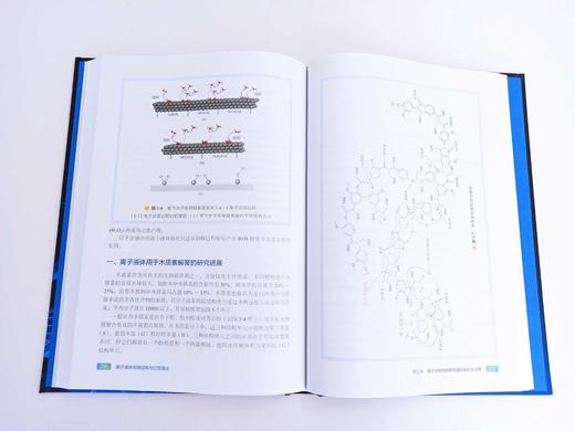 化工过程强化关键技术丛书  离子液体纳微结构与过程强化 商品图3