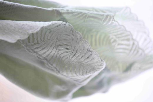 猫太推荐——胖胖的内内也很美！（4条每色各1 蓝色换成黑色） 商品图6