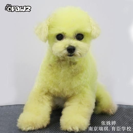 宠物染色香波-黄色 500ml OPAWZ小爪印 商品图8