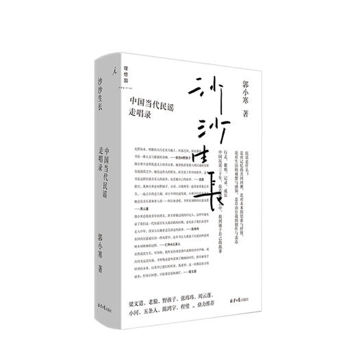 沙沙生长  中国当代民谣走唱录 中国民谣三十年珍贵记录  郭小寒 著  音乐史 商品图0