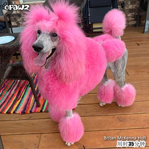 宠物染色香波-红色 500ml OPAWZ小爪印 商品图8