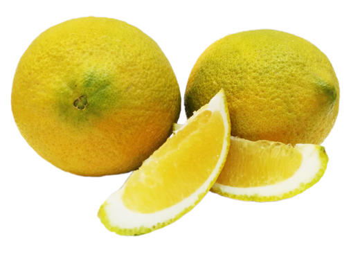 阳光早橙 1000g/份 商品图0