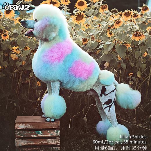 宠物染色香波-蓝色 500ml OPAWZ小爪印 商品图7