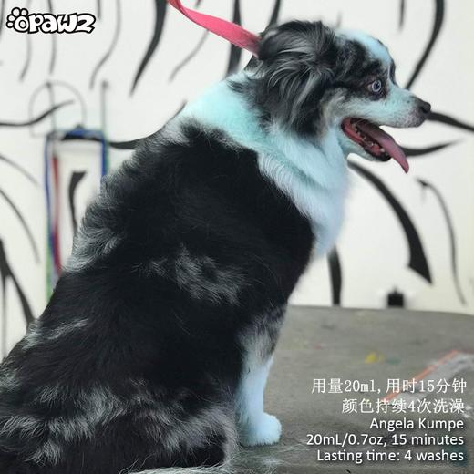 宠物染色香波-蓝色 500ml OPAWZ小爪印 商品图10