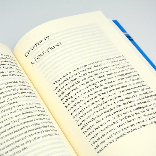 鲁滨孙漂流记 商品图7