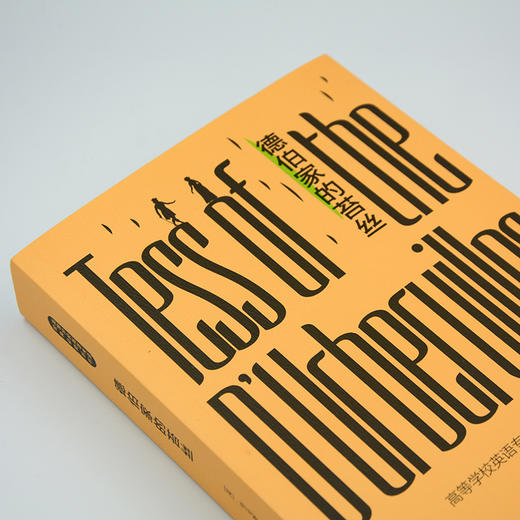 德伯家的苔丝 商品图1