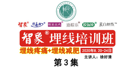 第3集 智象埋线培训埋线疼痛+埋线减肥 商品图0