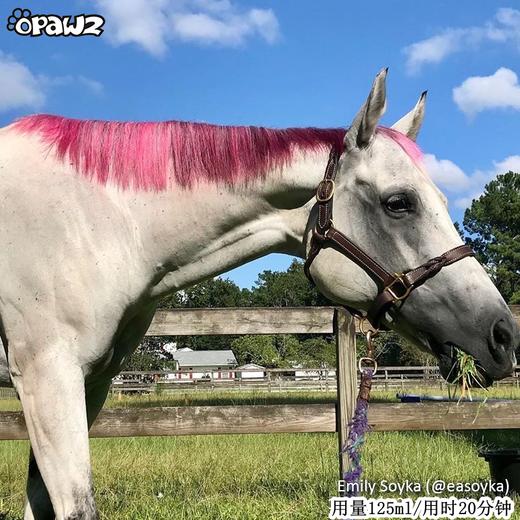 宠物染色香波-红色 500ml OPAWZ小爪印 商品图11