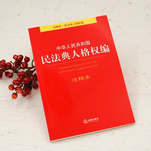 2020新中华人民共和国民法典人格权编注释本 商品图1