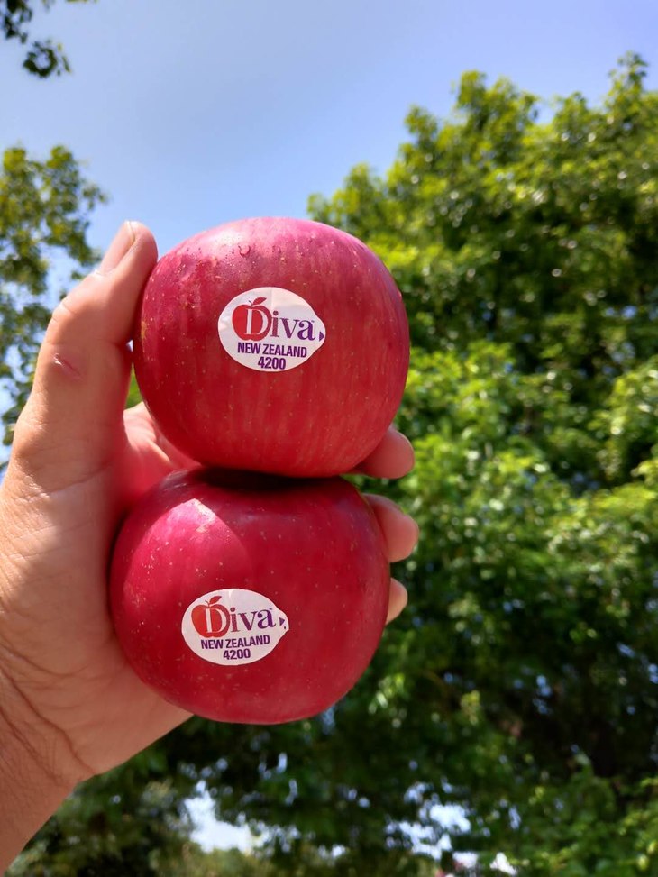 67【全国包邮】 新西兰天后苹果,diva糖心苹果, 果型饱满,果色红艳