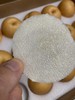 合作产品/ 有机黄金梨（基地直发）全国包邮，偏远地区除外 商品缩略图5