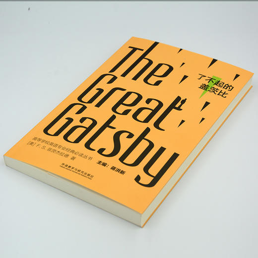 了不起的盖茨比 商品图2
