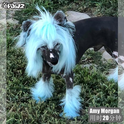 宠物染色香波-蓝色 500ml OPAWZ小爪印 商品图12