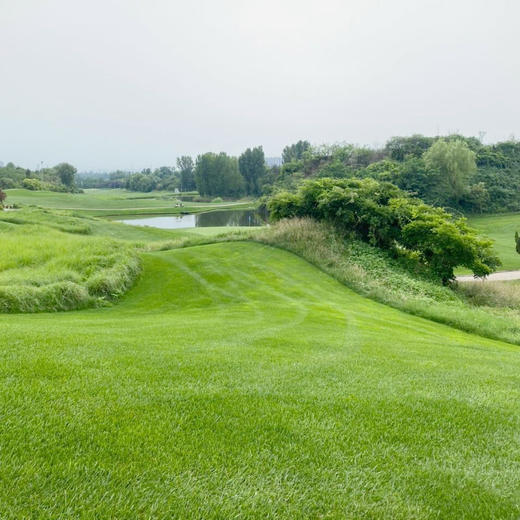 河南思念国际高尔夫俱乐部 Henan Sinian Golf Club|  郑州高尔夫球场 俱乐部 | 河南 | 中国 商品图4
