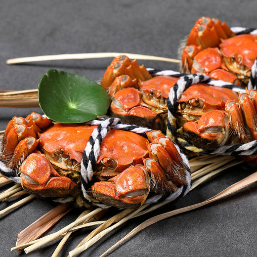 【爆款蟹卡礼券】澄方圆阳澄湖大闸蟹-1 ，蟹卡现售，下单后先寄蟹卡，实物蟹开捕后发（9.23号后） 商品图3