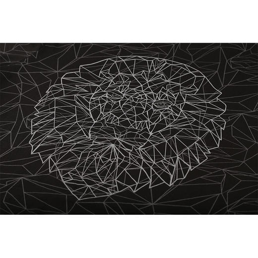 NIKE/耐克 荷兰欧洲杯 球迷助威短袖T恤CD1260010 商品图3