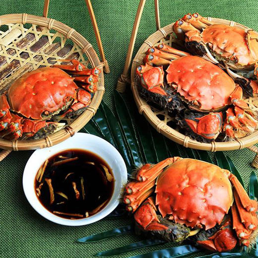 【爆款蟹卡礼券】澄方圆阳澄湖大闸蟹-1 ，蟹卡现售，下单后先寄蟹卡，实物蟹开捕后发（9.23号后） 商品图5