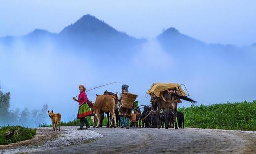 【定制】滇东南喀斯特山水田园草原5晚6天假期 商品图5