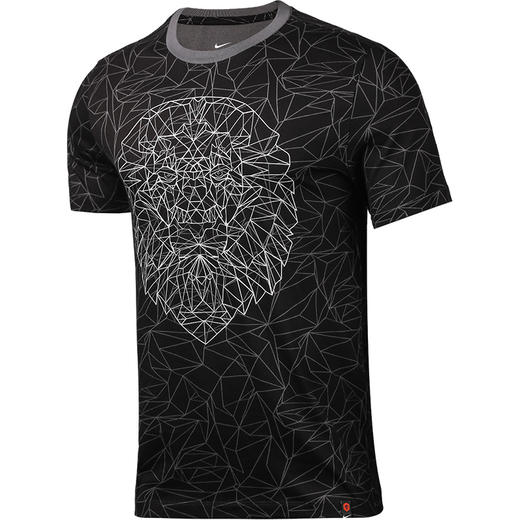 NIKE/耐克 荷兰欧洲杯 球迷助威短袖T恤CD1260010 商品图0