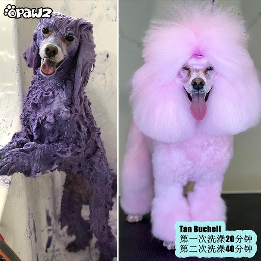 宠物染色香波-深粉色 500ml OPAWZ小爪印 商品图13