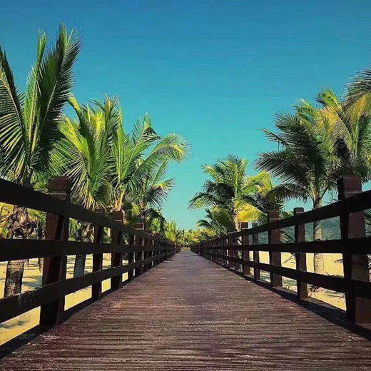 海南三亚蓝湾绿城威斯汀度假酒店1-3晚套餐含双早亲子旅拍 商品图2