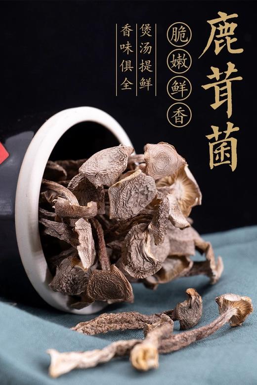 特级鹿茸菇500克/包 商品图0