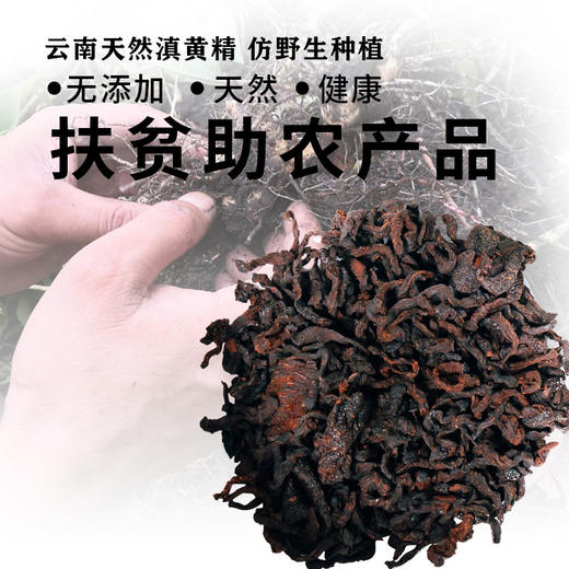 滇黄精茶（小礼盒）120g 商品图2
