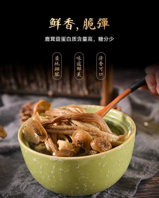特级鹿茸菇500克/包 商品图3