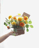 mini小确幸花篮 商品缩略图3